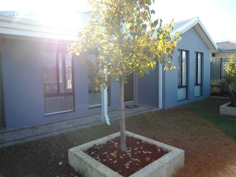 15 Wallingford Crescent, Wellard WA 6170