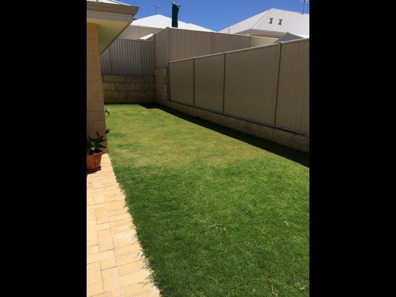 50 The Hawthorns, Baldivis WA 6171