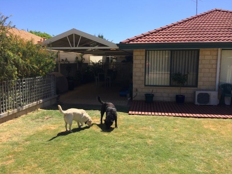 3 Grenadier Court, Warnbro WA 6169