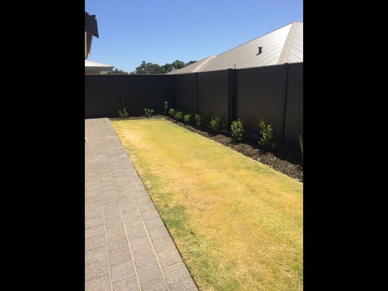 11 Niagara Street, Baldivis WA 6171