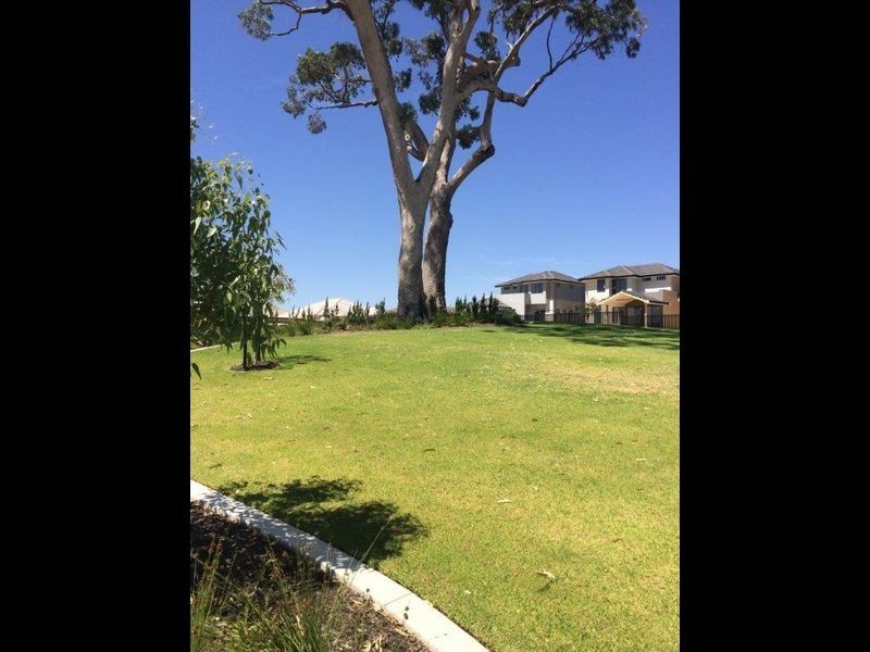 11 Niagara Street, Baldivis WA 6171