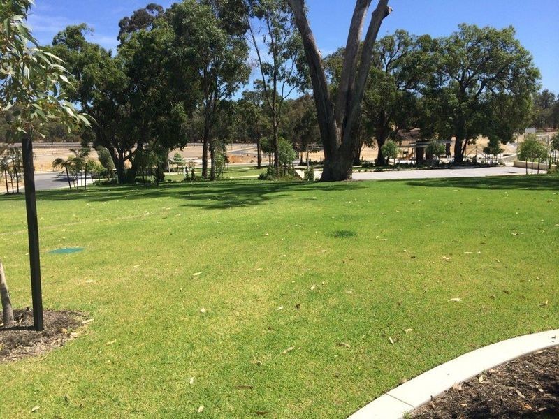 11 Niagara Street, Baldivis WA 6171