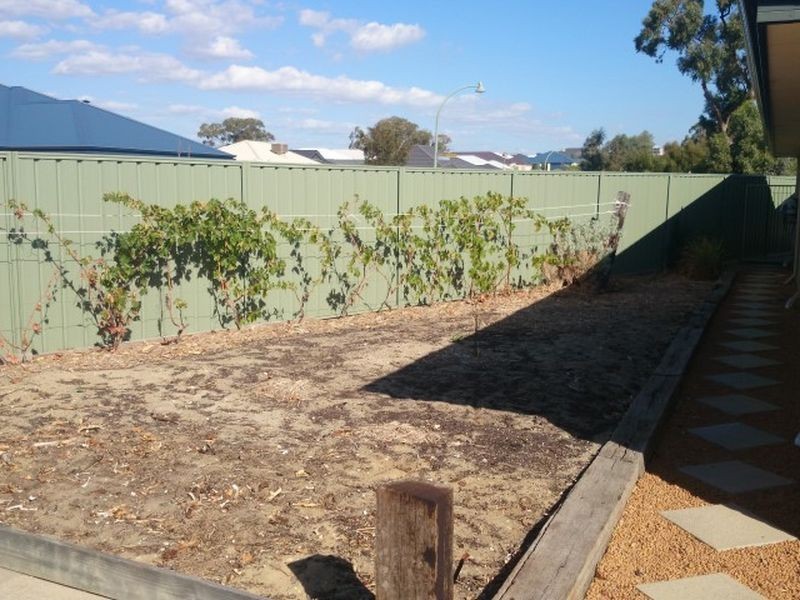 12 Loft Alley, Baldivis WA 6171