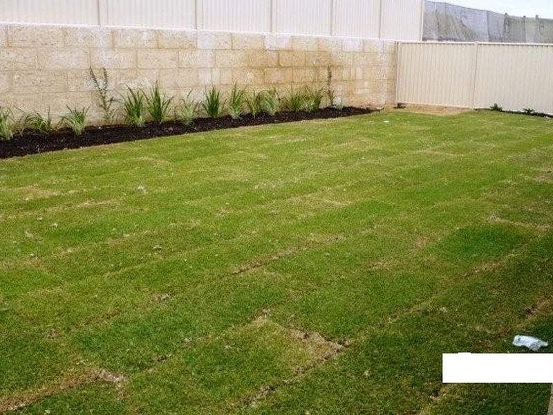 81 Brennan Promenade, Baldivis WA 6171