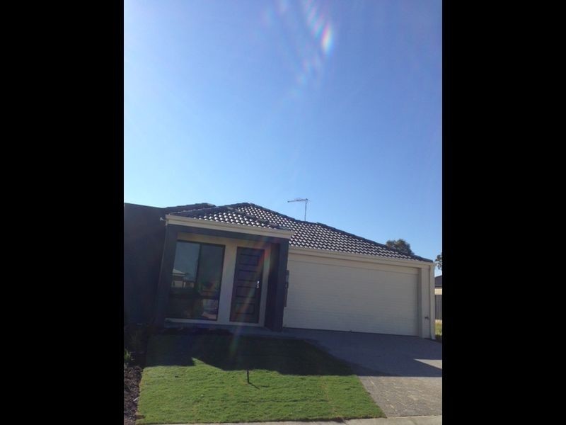 14 Haley Mews, Baldivis WA 6171