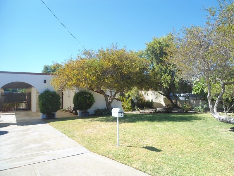 12 Quindalup Court, Hillman WA 6168