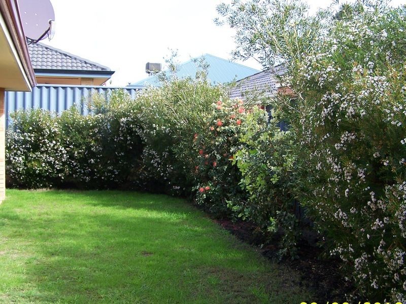 6 Corymbia Green, Baldivis WA 6171