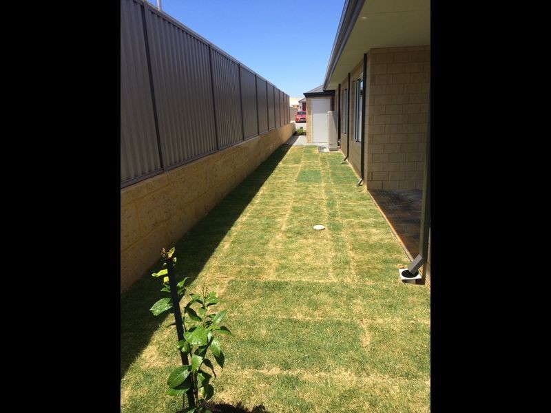 32 Ruskin Brace, Baldivis WA 6171