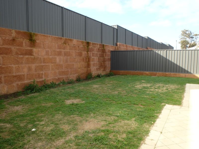 7 Reushaw Link, Baldivis WA 6171