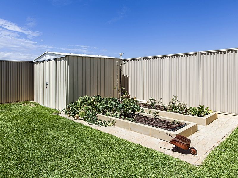 24 Mesa Link, Baldivis WA 6171