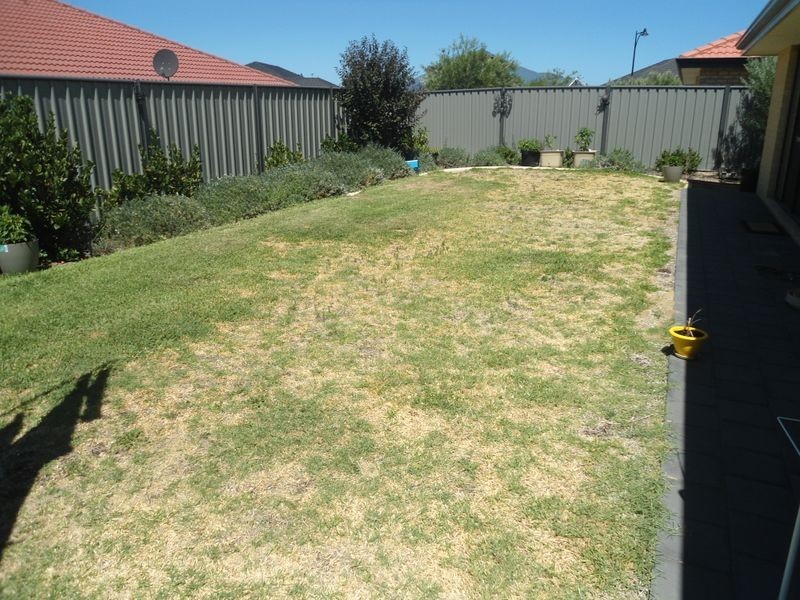 13 Galena Brace, Baldivis WA 6171