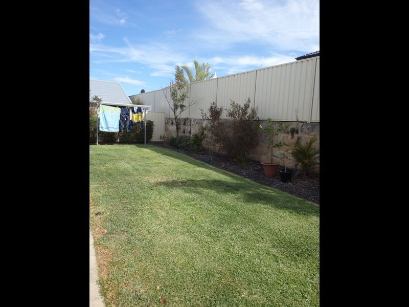 19 Grier Cresent, Baldivis WA 6171