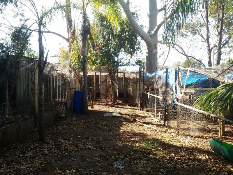 25 Stakehill Road, Karnup WA 6176