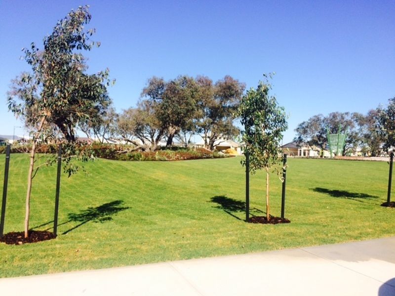 6 Athens Road, Wellard WA 6170