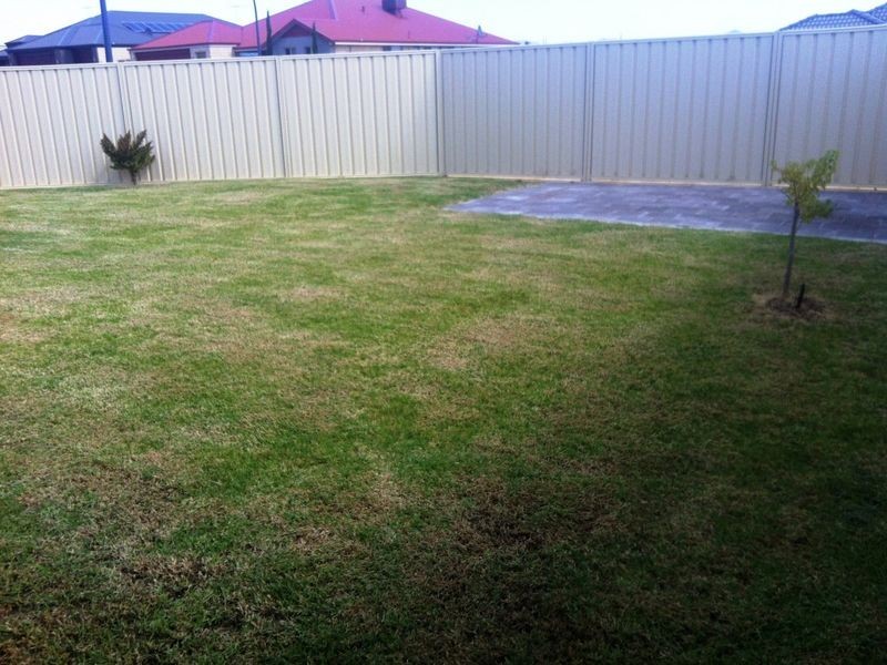 28 Tallon Loop, Baldivis WA 6171
