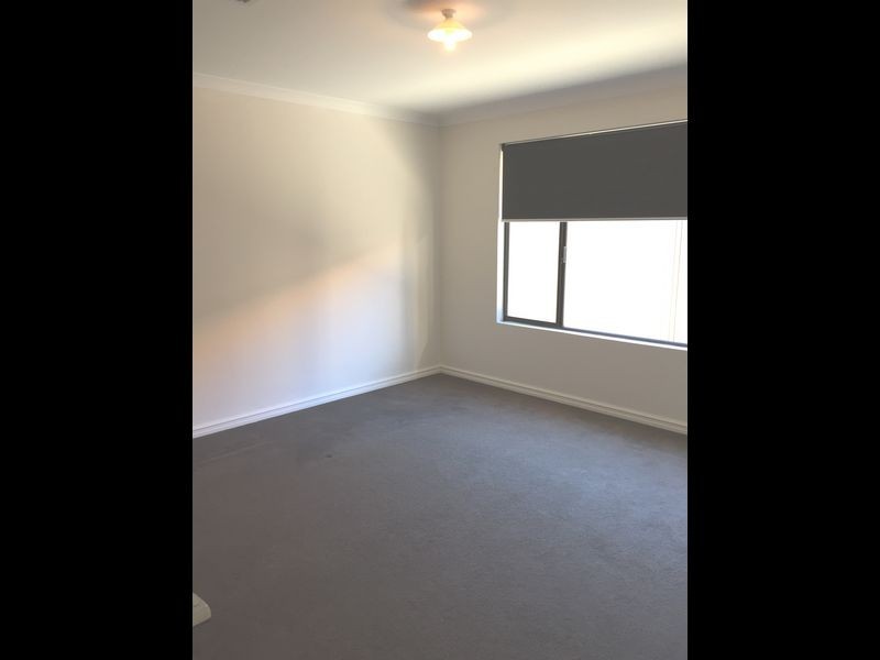 17 Andalusian Loop, Baldivis WA 6171