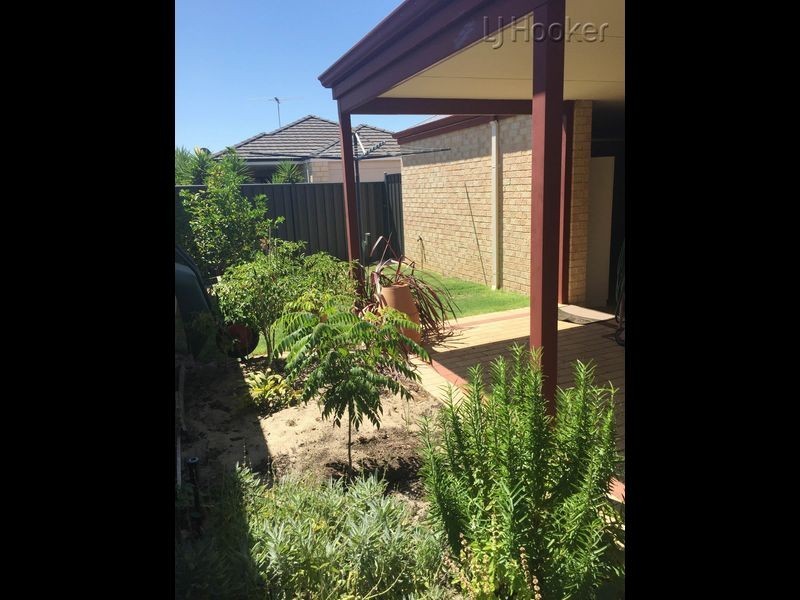 13 Boobook Lane, Baldivis WA 6171