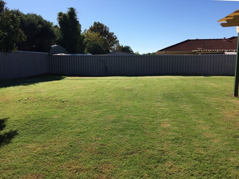 6 Pingrup Court, Waikiki WA 6169