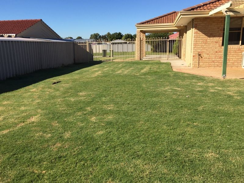 6 Pingrup Court, Waikiki WA 6169
