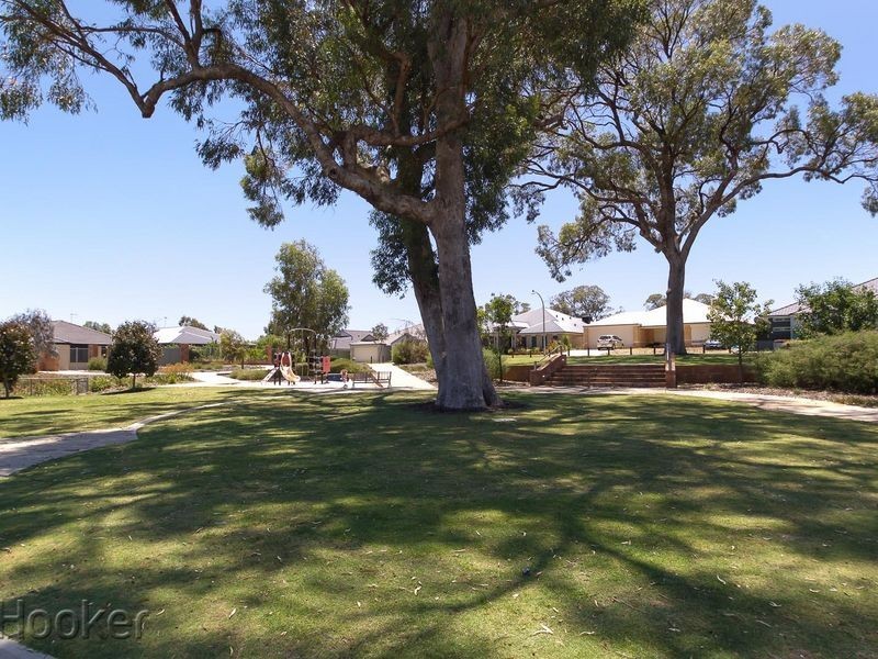 41 Grafton Rise, Baldivis WA 6171