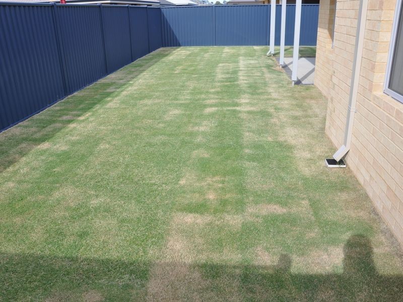 34 Lanagan Drive, Baldivis WA 6171