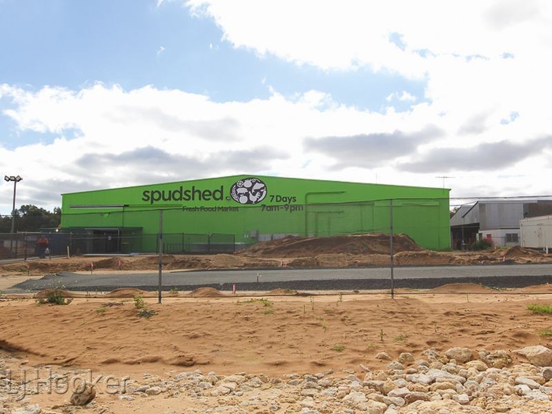 4 Desiree Drive, Baldivis WA 6171