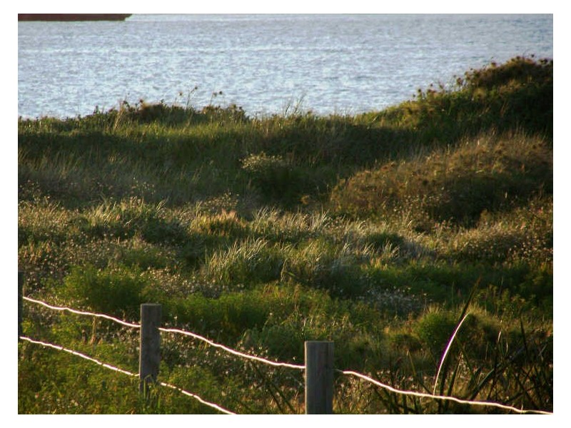 39A Coventry Road, Shoalwater WA 6169