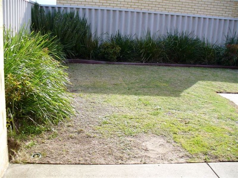 6 Barossa Approach, Rockingham WA 6168