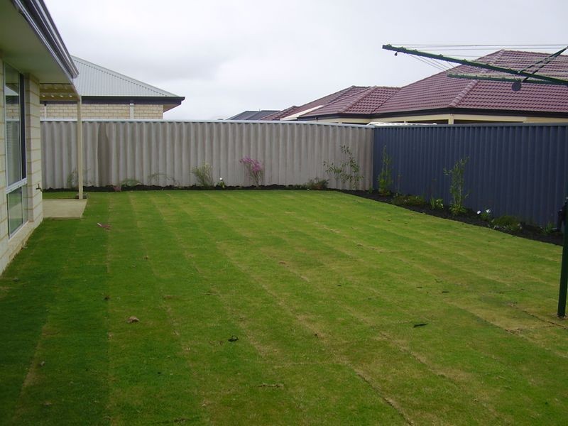 19 Hibiscus Road, Baldivis WA 6171