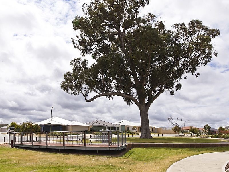 10 Mountain Cove, Baldivis WA 6171