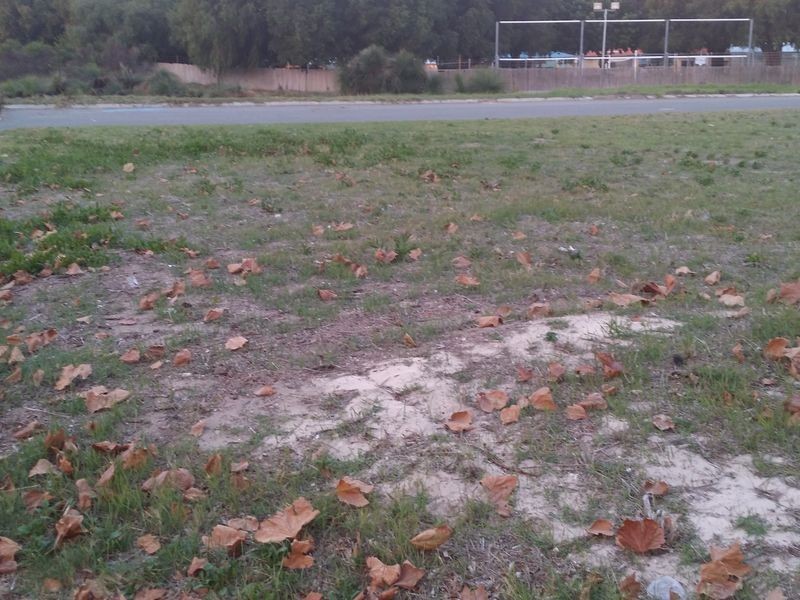 16 Mackinnon Street, Rockingham WA 6168