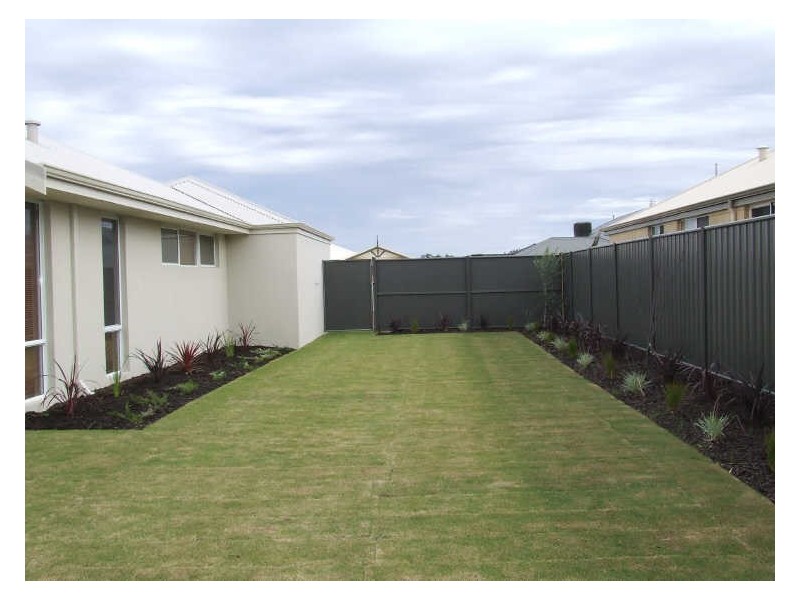 8 Mollyhawk Way, Baldivis WA 6171