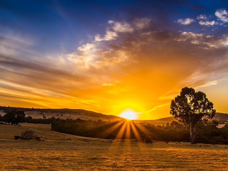 16 Hill Street, Boddington WA 6390