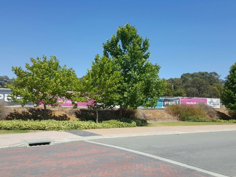 67 Henley Boulevard, Wellard WA 6170