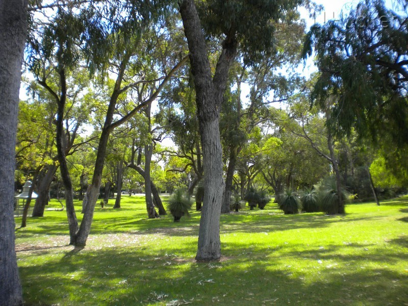 5 Ellis Court, Medina WA 6167