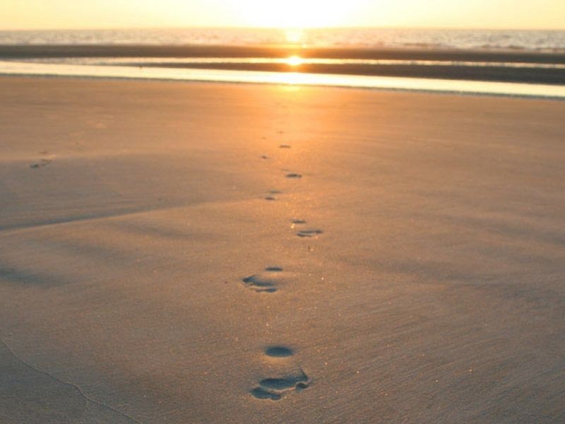 97 Murdoch Drive, Singleton WA 6175