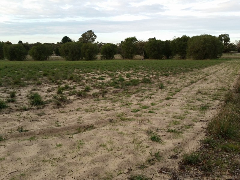 42 Cassia Drive, Karnup WA 6176