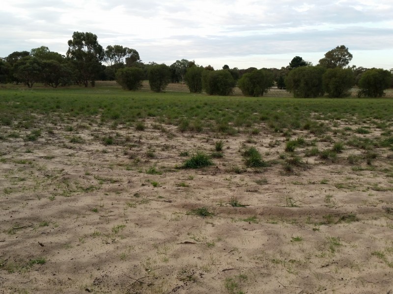 42 Cassia Drive, Karnup WA 6176