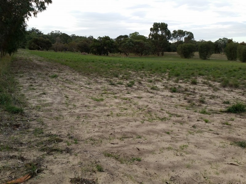 42 Cassia Drive, Karnup WA 6176