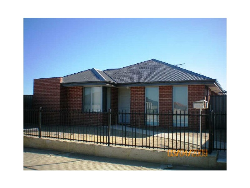 31 Karidale Loop, Baldivis WA 6171