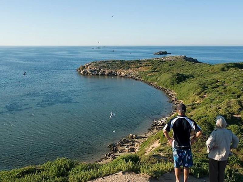 8 Dargin Way, Rockingham WA 6168