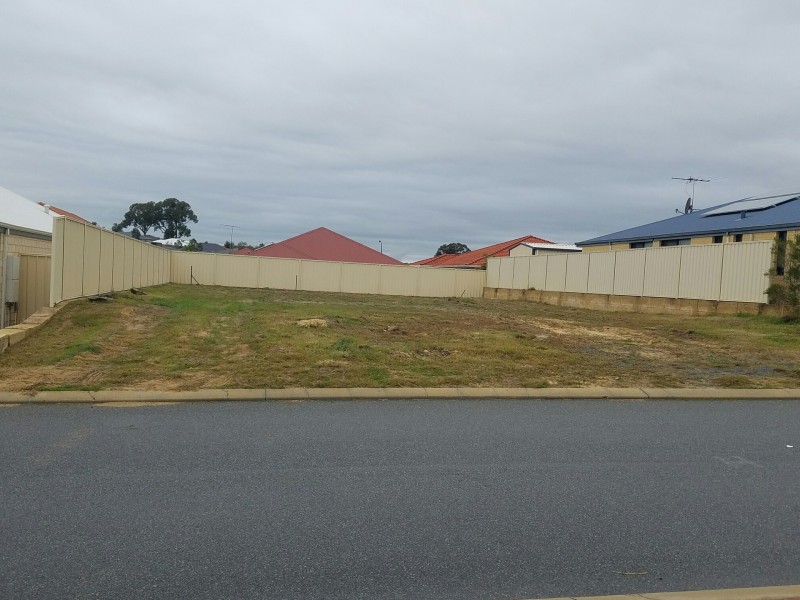 29 Wibberley Loop, Baldivis WA 6171
