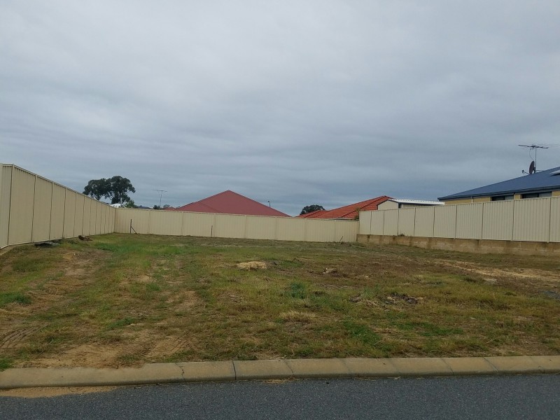 29 Wibberley Loop, Baldivis WA 6171
