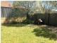 560 Baldivis Road, Baldivis WA 6171