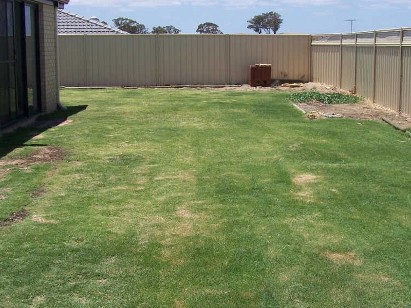 11 Cleland Crescent, Baldivis WA 6171