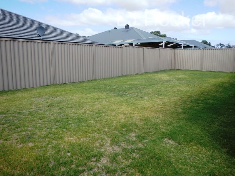 14 Pavonia Parade, Baldivis WA 6171