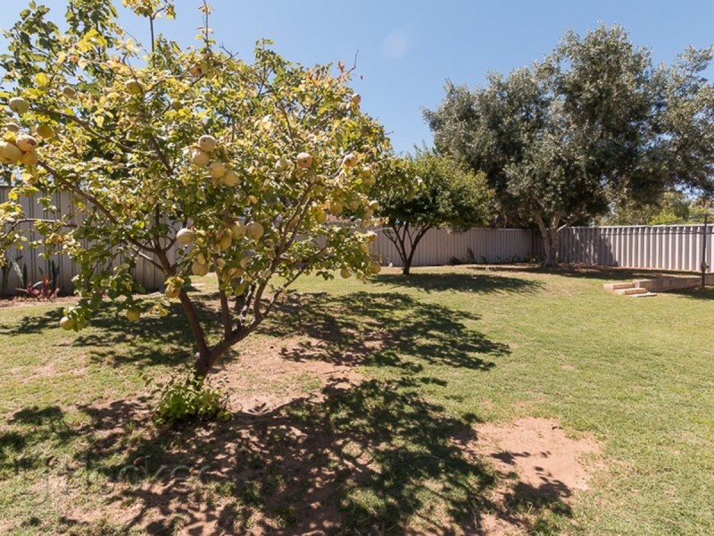 55 Murchison Road, Waikiki WA 6169