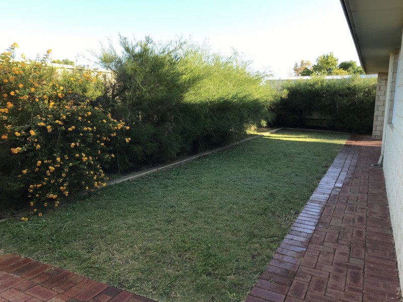 11 Passfield Street, Baldivis WA 6171