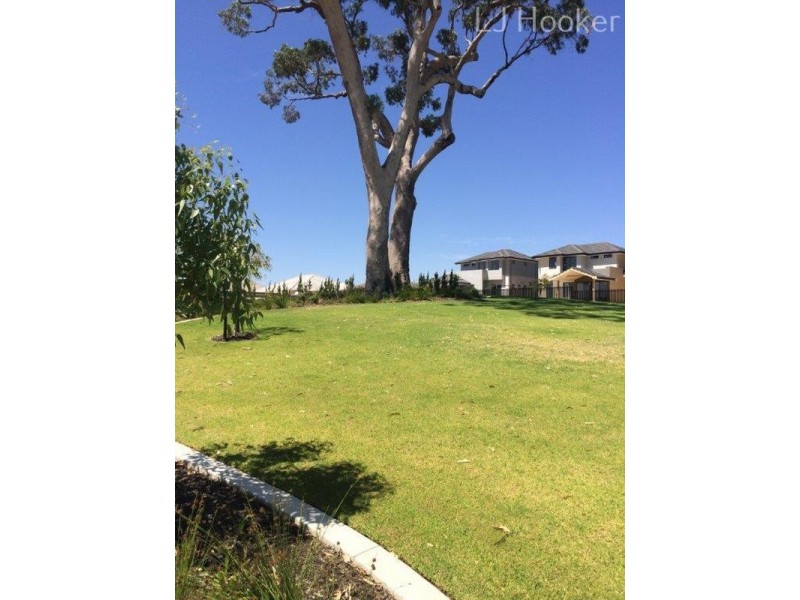 11 Niagara Street, Baldivis WA 6171