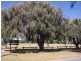 3 Crater Place, Rockingham WA 6168